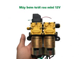 Máy bơm tưới rau mini 12v